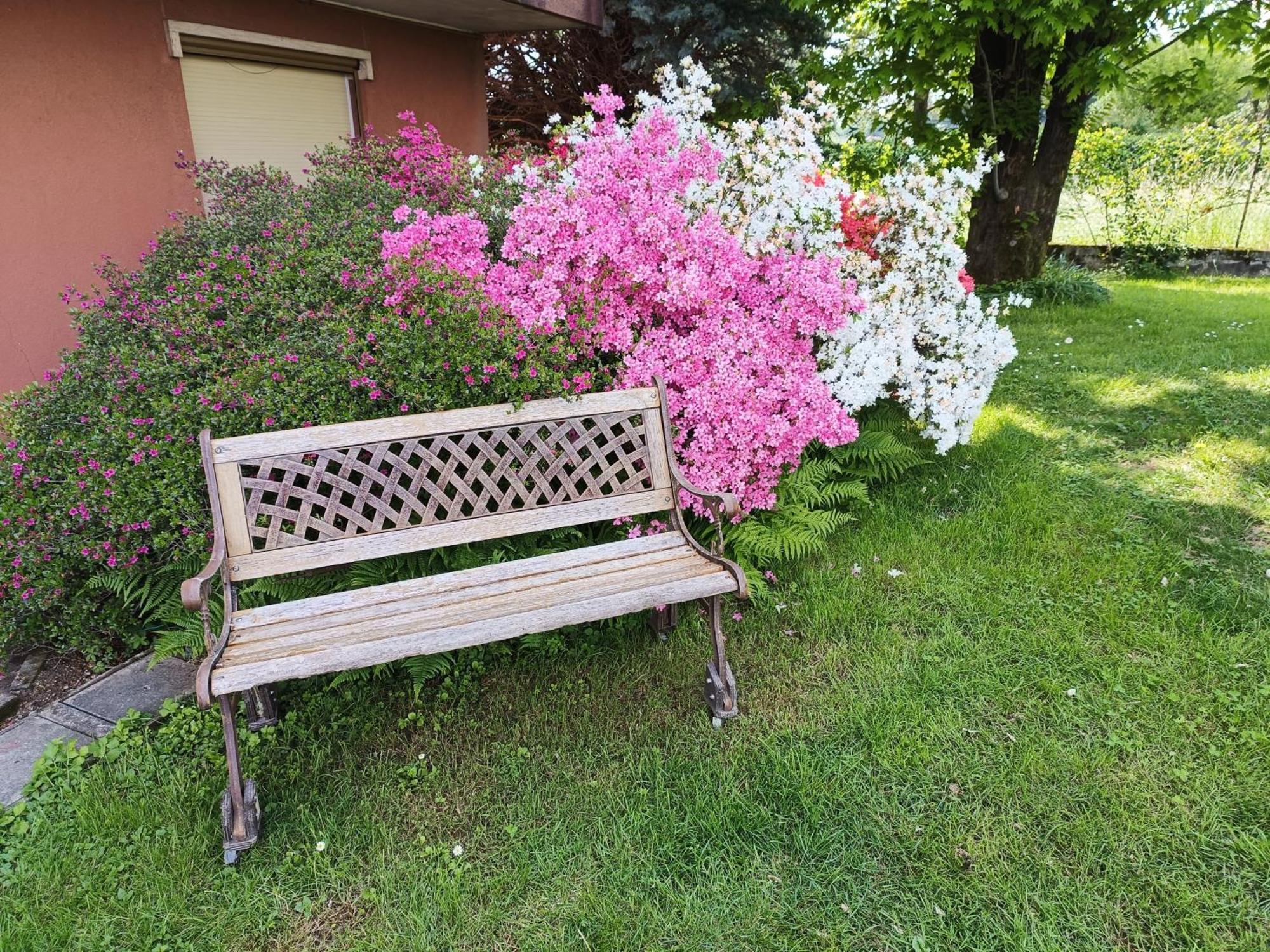 B&B Il Melograno Lomazzo Exteriér fotografie